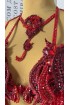 Professional bellydance costume Classic 486A_1